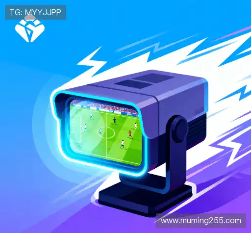 我们的市场领导力